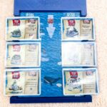 Imperial Settlers: Empires of the North 3D Printed Storage Insert - Fits ALL Expansions!