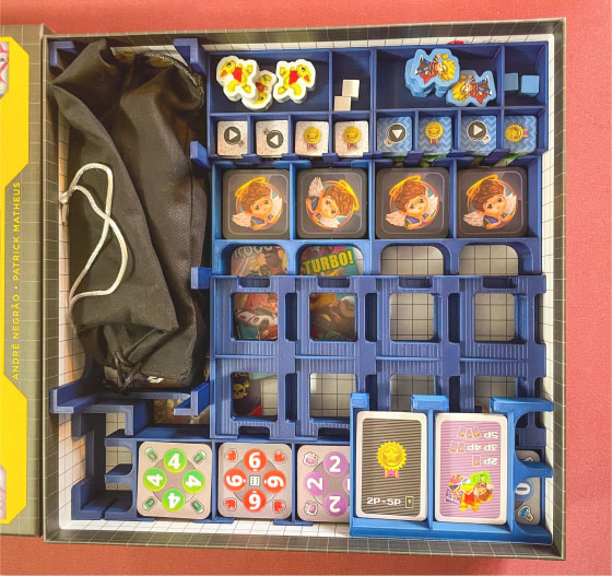 video game champions insert organizer